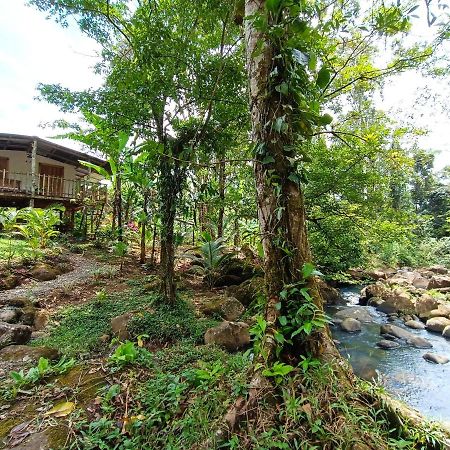 Cabana Vista Rio Celeste 외부 사진