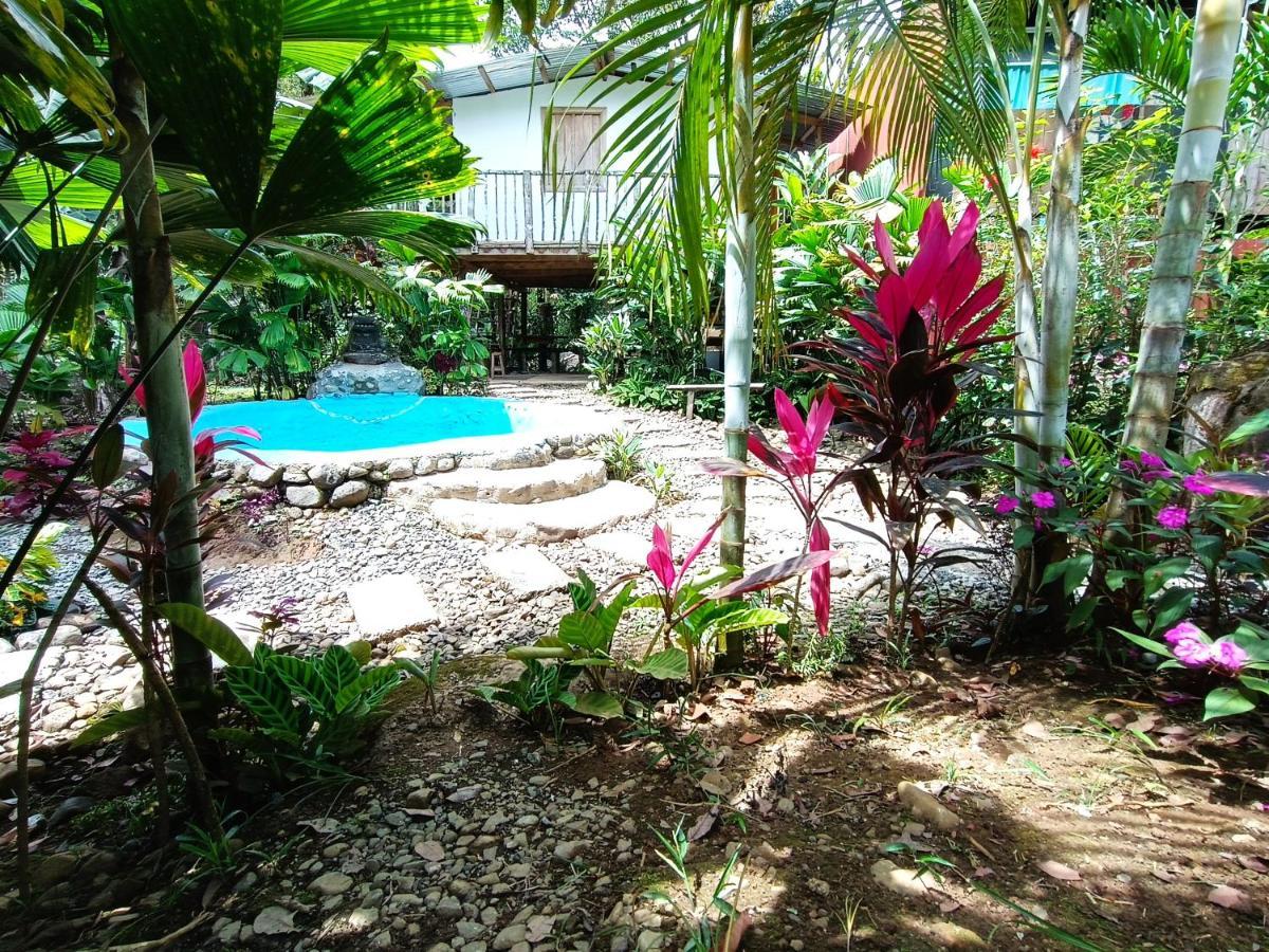 Cabana Vista Rio Celeste 외부 사진