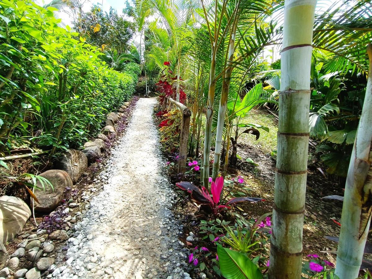 Cabana Vista Rio Celeste 외부 사진