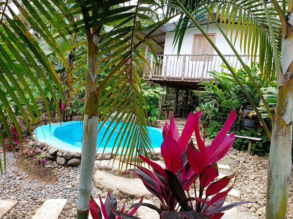 Cabana Vista Rio Celeste 외부 사진