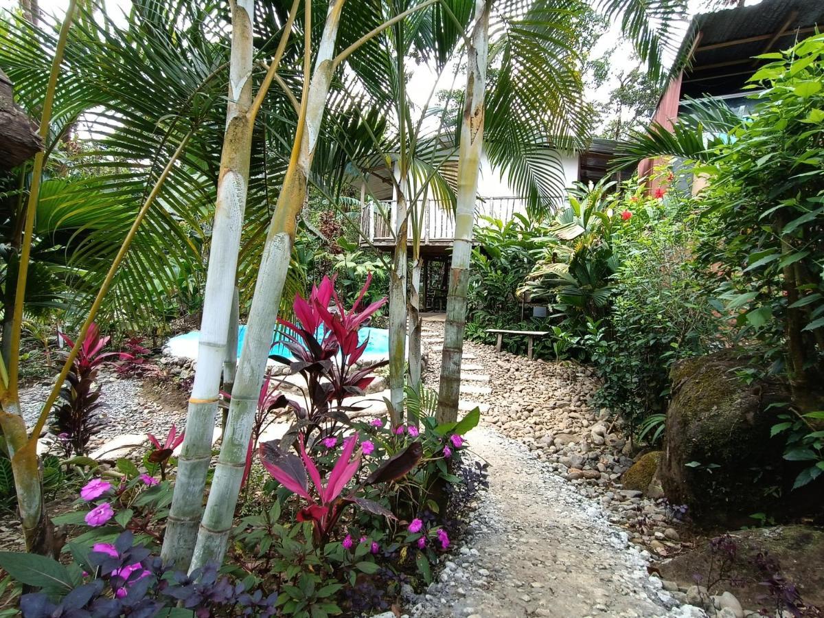 Cabana Vista Rio Celeste 외부 사진